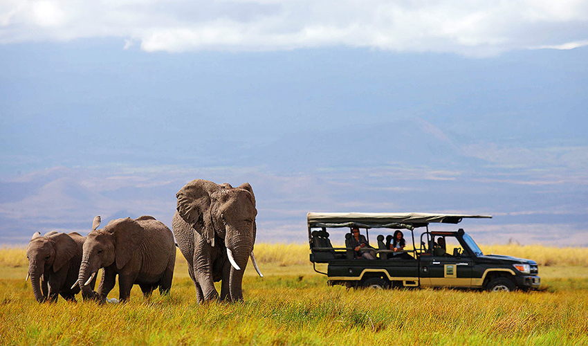 3 Day Amboseli Camping Safari