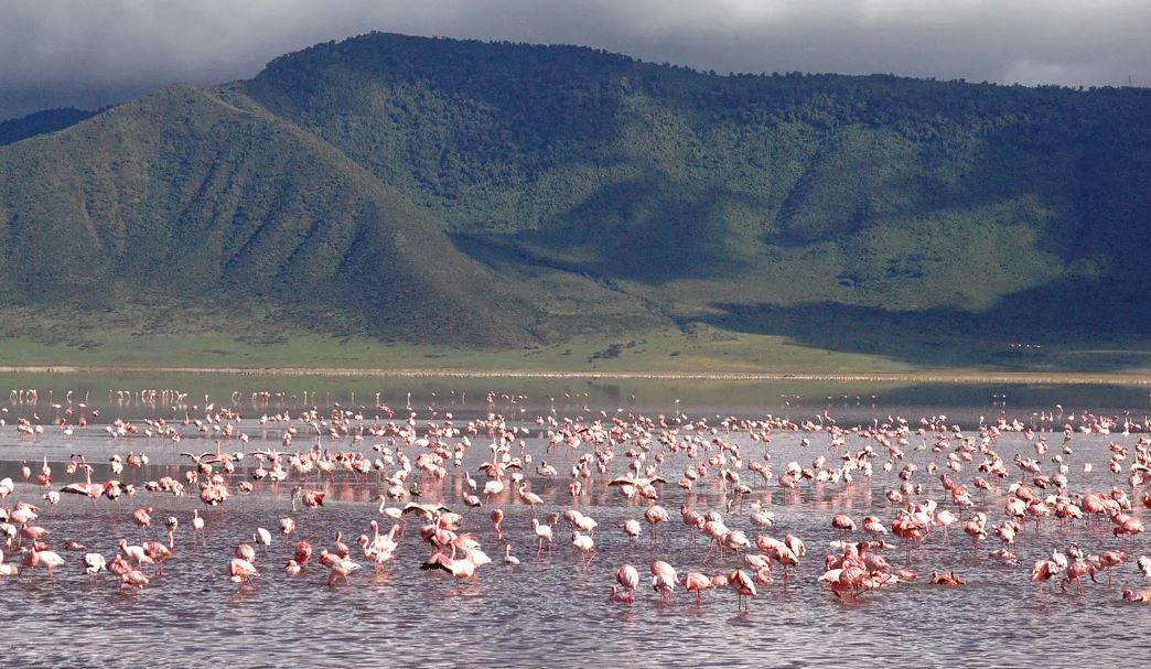 6 Day Great Migration Safari - Natures Most Spectacular Show