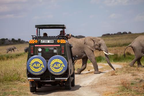7 Days Tanzania Safari Package