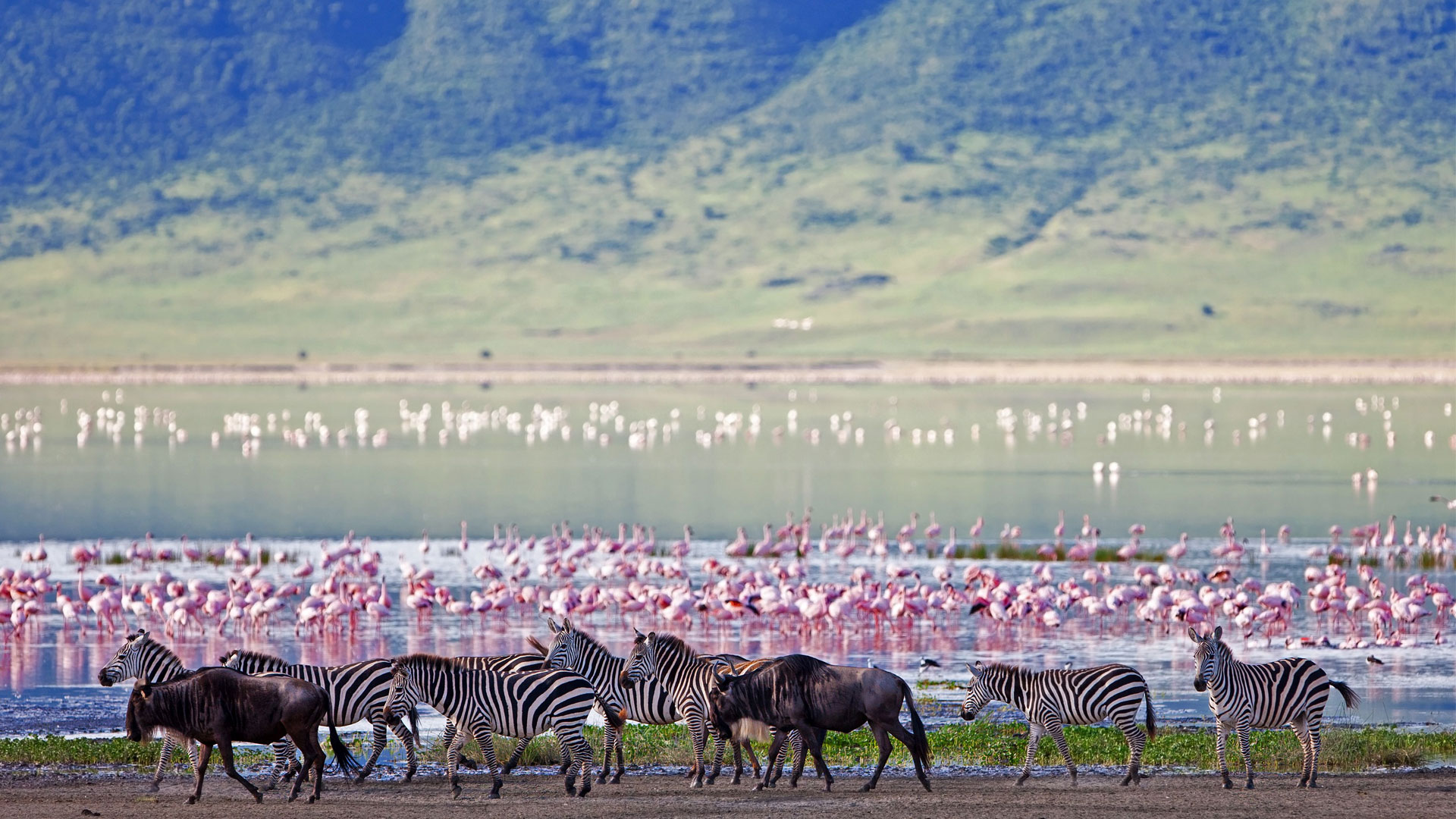 3 Days Serengeti & Ngorongoro Crater