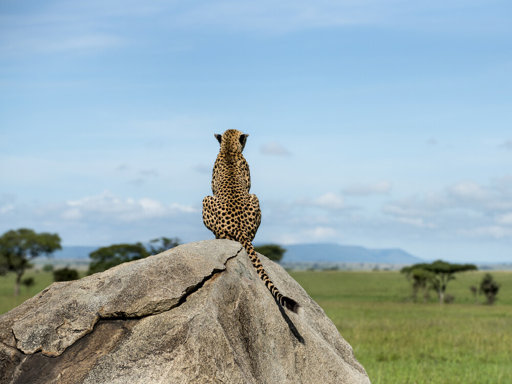 8-Days Tanzania Wonders