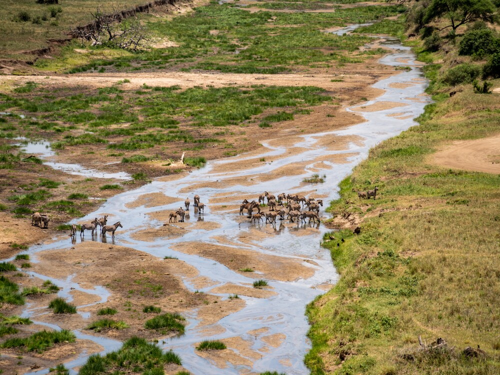 3-Day Luxury Safari All Inclusive