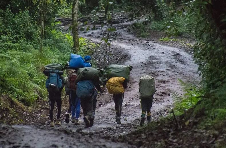 Kilimanjaro Lemosho Route