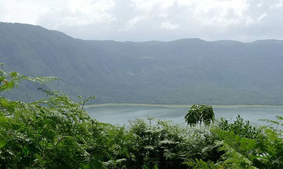 Explore Ngorongoro Highlands and Lake Natron