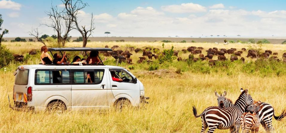 3 Days, 2 Nights Masai Mara Joining Budget Camping Safari