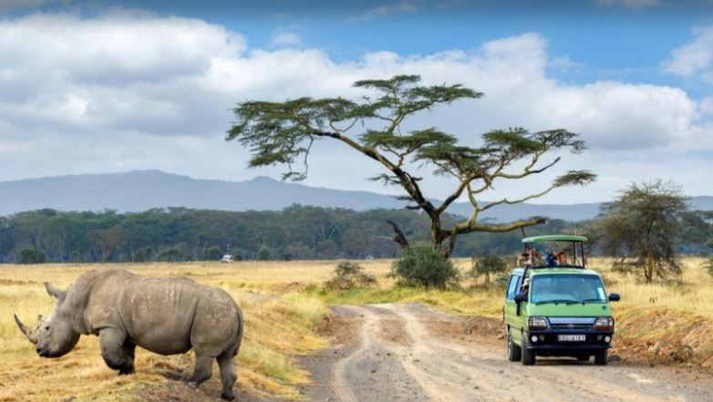 4 Days Masai Mara & Lake Nakuru Budget Camping Safari