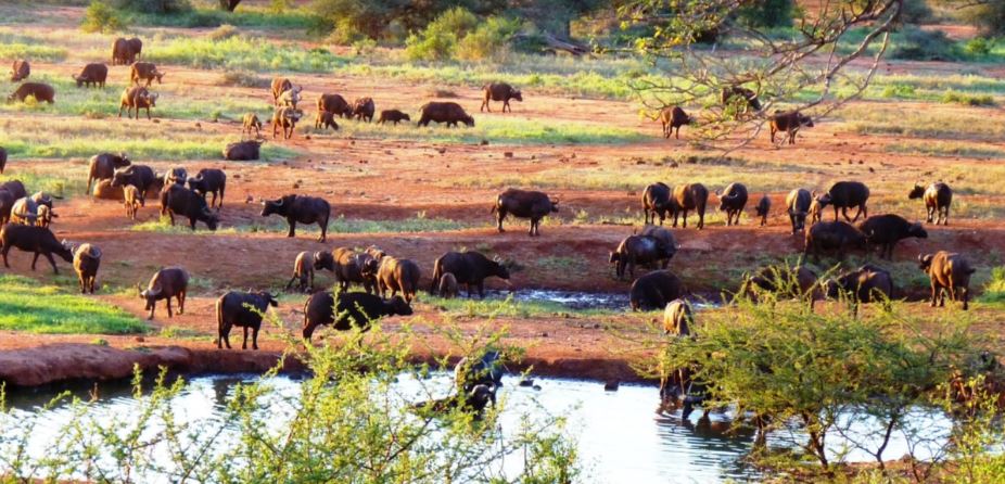 12 Days, 11 Nights Kenya Budget Camping Safari Adventure