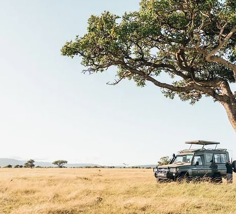 8 Days Bush & Beach Safari Kenya