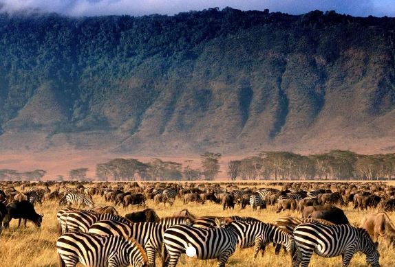 Serengeti & Ngorongoro Crater Safari