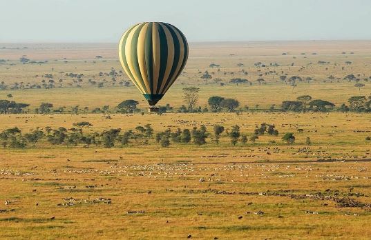 Great Migration Calving Season
