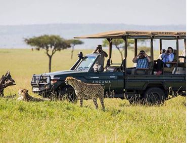 4 Days 3 Nights Masai Mara Nairobi Migration Safari Package