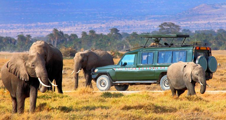 3 Days 2 Nights Masai Mara Safari Package