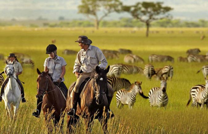 7 Day Northern Circuit Safari