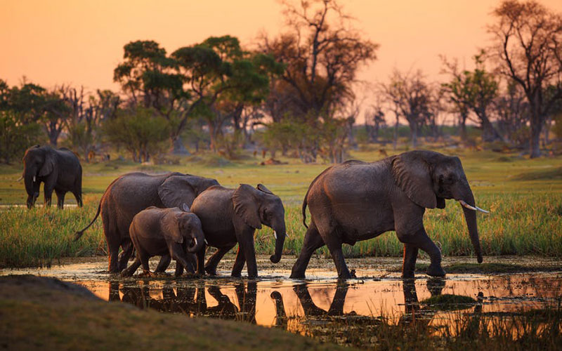 2 Days Tanzania Group Joining & Camping Safari