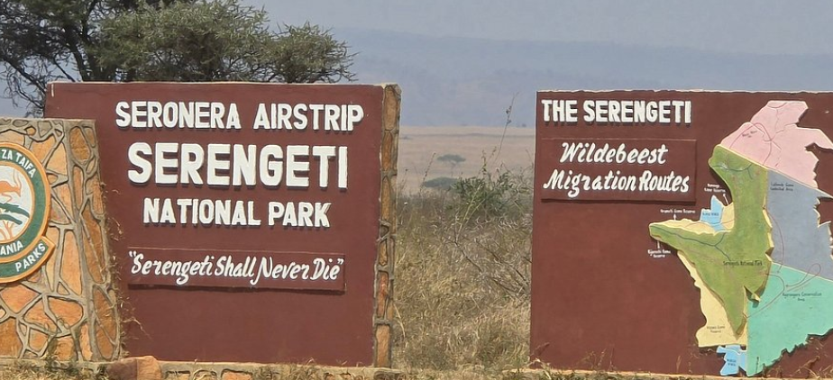 3 Day Serengeti National Park Safari