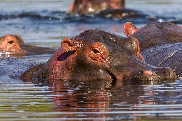 5 Day Crater Experiences Safari