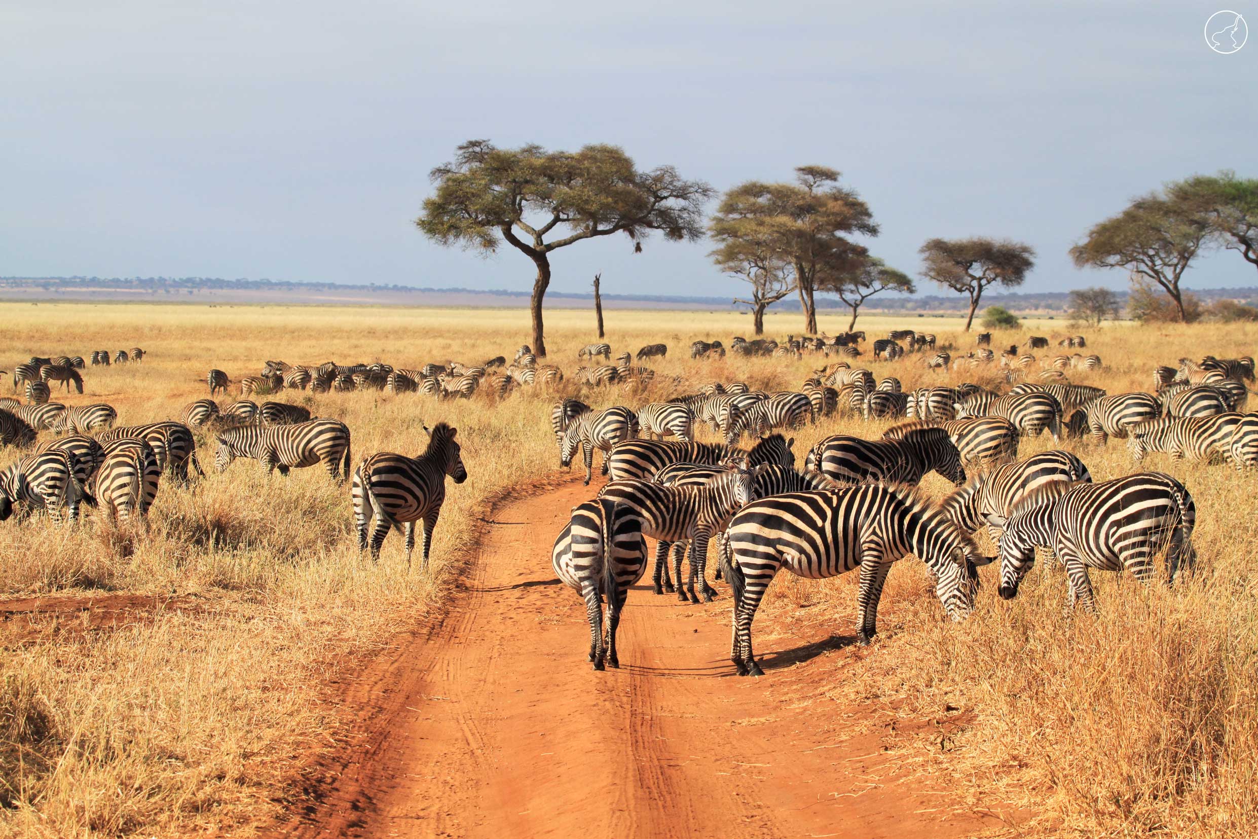 3 Days Tarangire National Park, Lake Manyara & Ngorongoro Crater