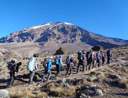 8 Days Lemosho Route