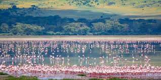 10-Day Mid-Range Kenya & Tanzania Treasures Discover Tour