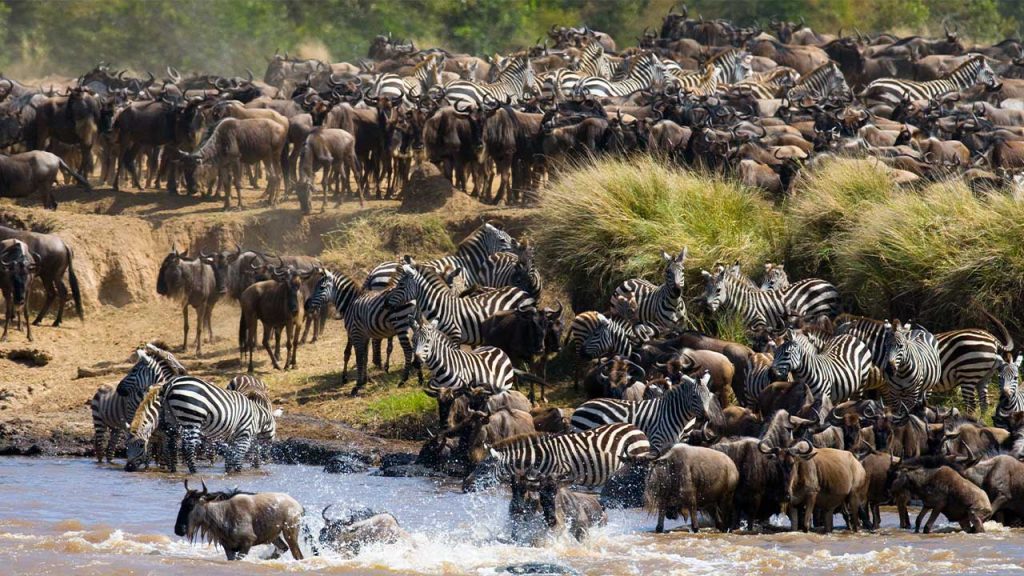 26 Days Discover Tanzania, South And Northern Circuits Wildlife Safari