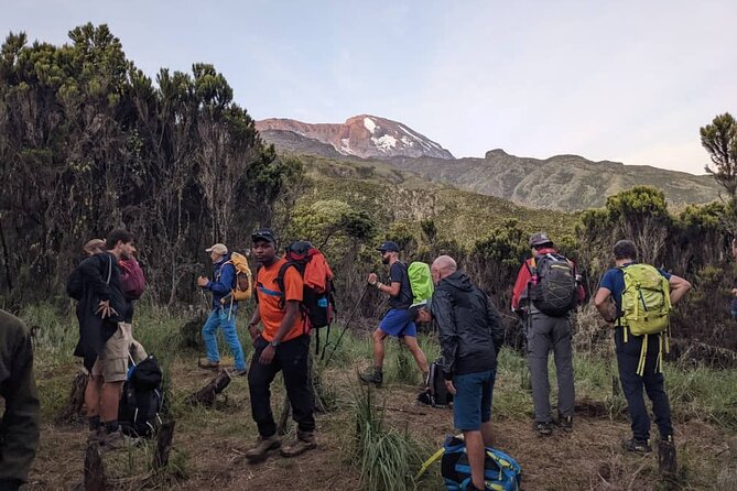 1 day Kilimanjaro Trek Machame