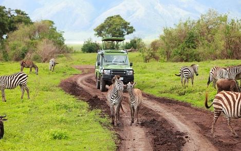 2 Days Tanzania Safari to Tarangire & Ngorongoro