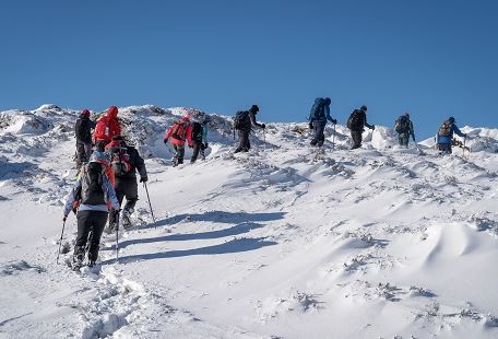 8 Days Kilimanjaro Hiking on Lemosho Route