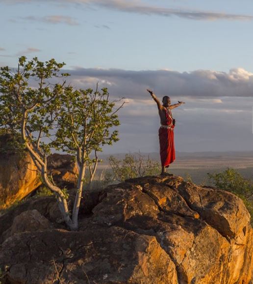 14 Days Iconic Wildlife Expedition