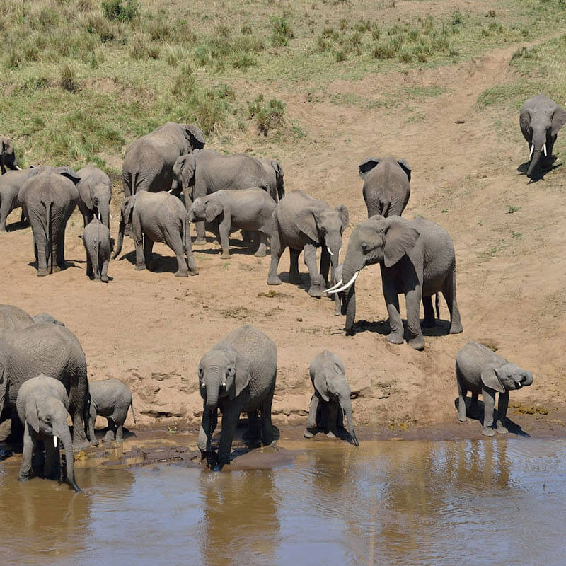 3 Days Samburu Game Reserve