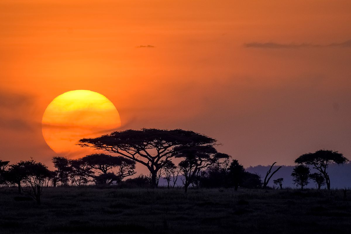 6 Days Five-Star Accommodation Safari