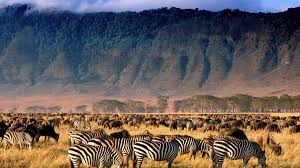 5 Day 4 Nights Safari Great Migration Safaris