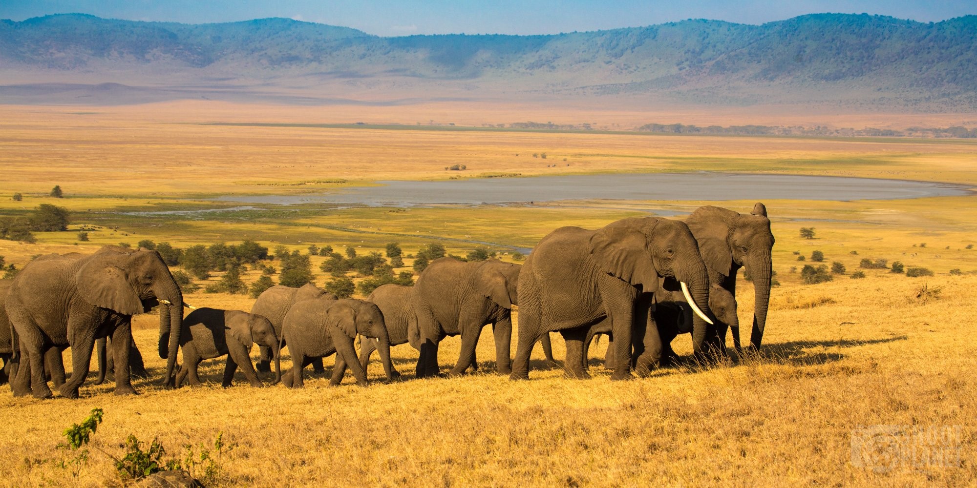 6 Days Lake Manyara Serengeti, Ngorongoro Crater and Lake Manyara