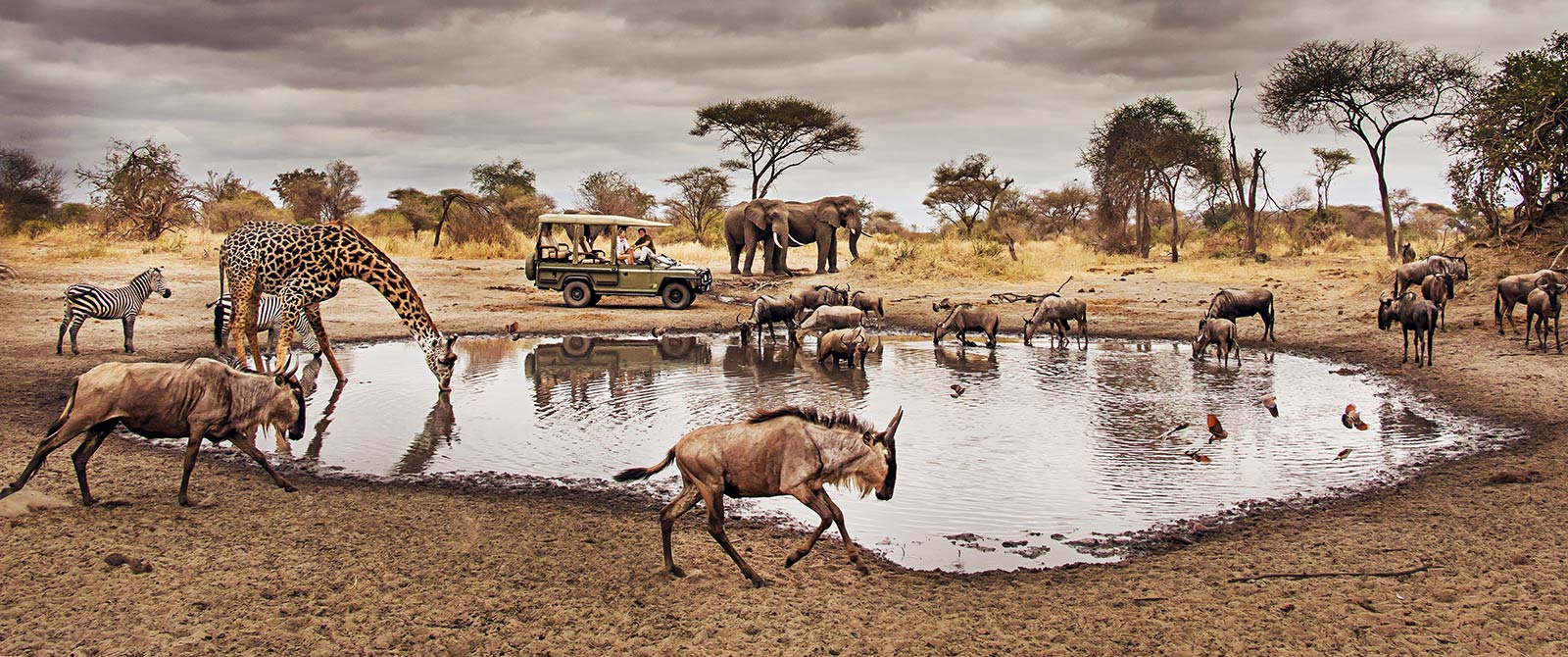 11 Days Luxury Safari Package