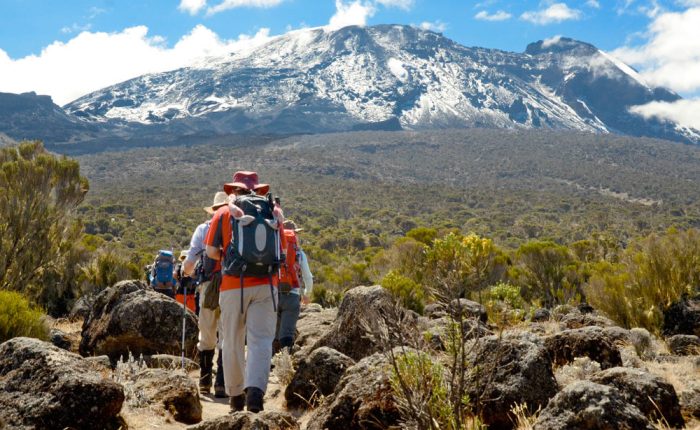 8 Days Lemosho Route