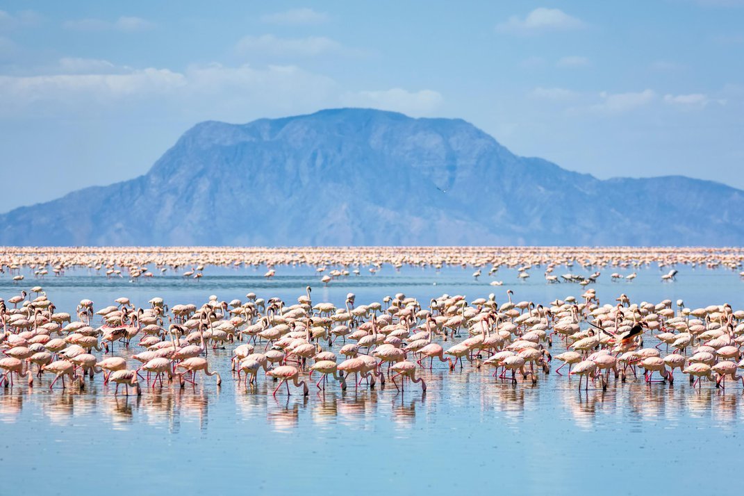9 Days Tanzania Wildlife Safari