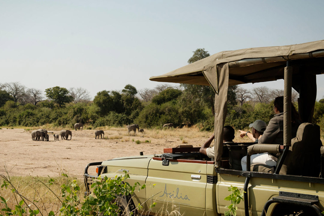 5 Days Safari to Nyerere National Park & Kilwa