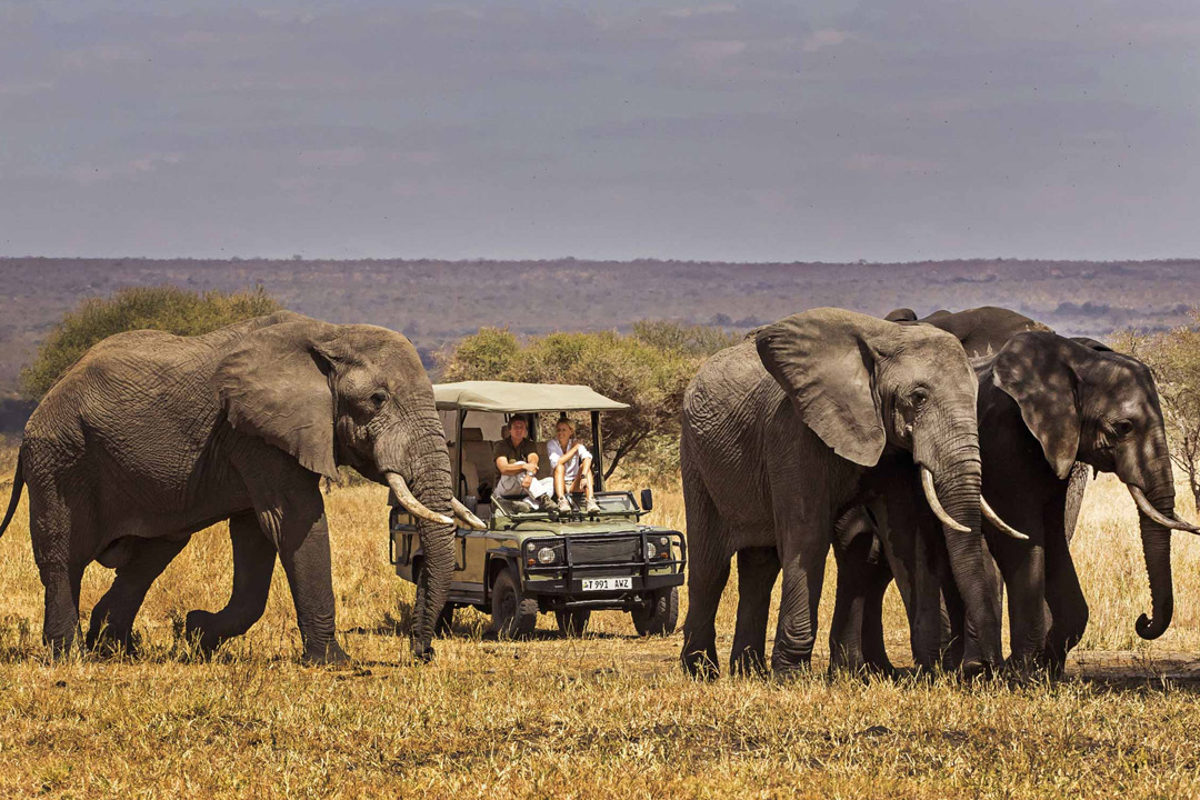 9 Days Tanzania Luxury Northern Safari