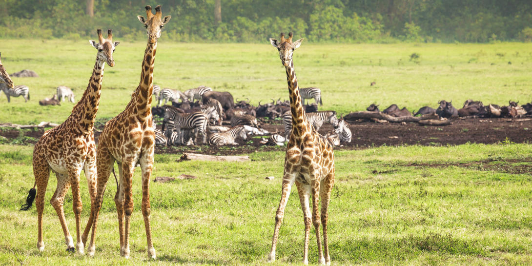 6-Day Maasai Culture & Walking Safari