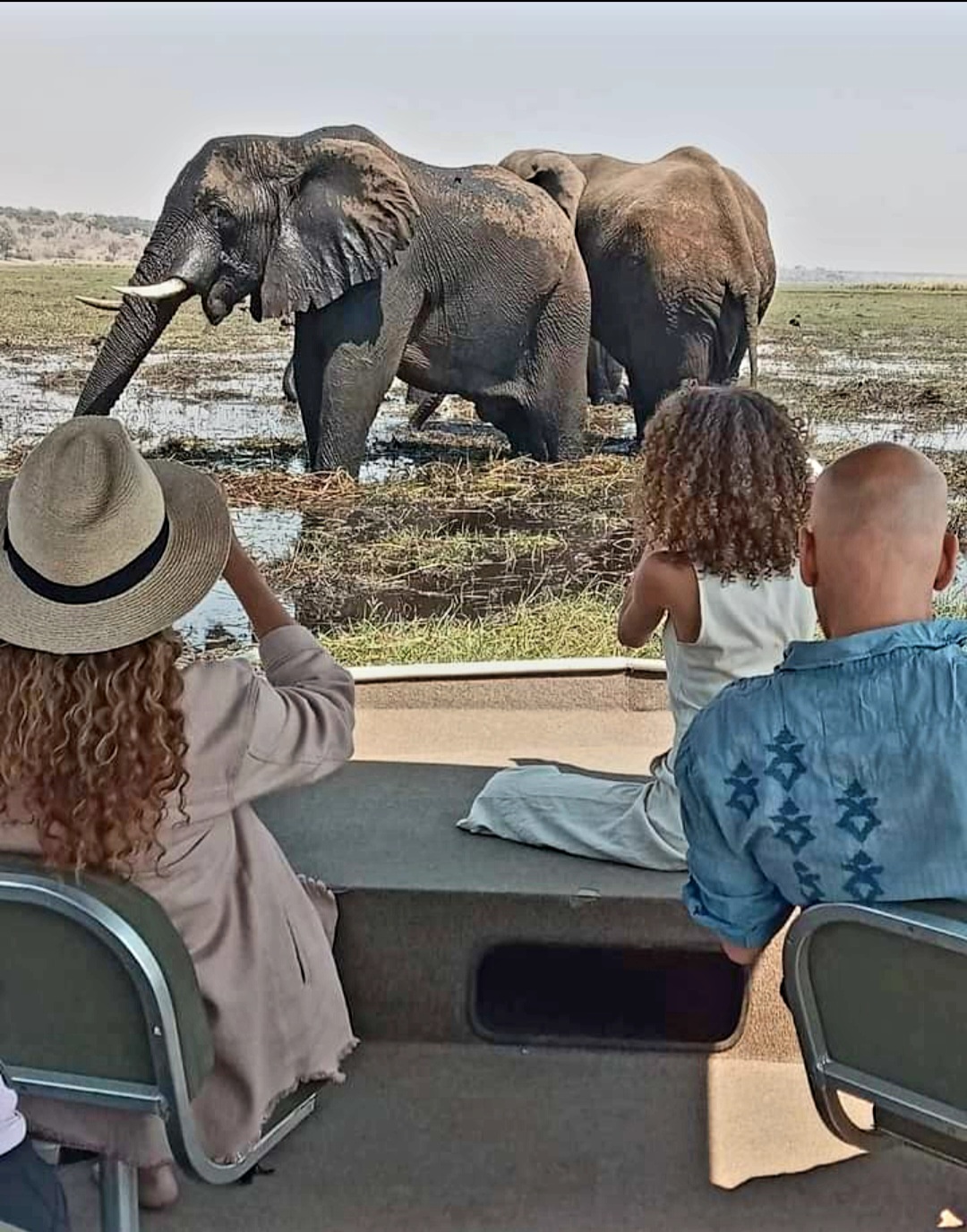 Chobe Day Trip - Full Day Safari on Game Drive & Boat Cruise(Pick Up from Vic Falls Zimbabwe and Livingstone)