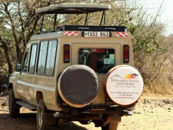 4 Days Safari To Lake Manyara, Ngorongoro & Serengeti > Price on Request