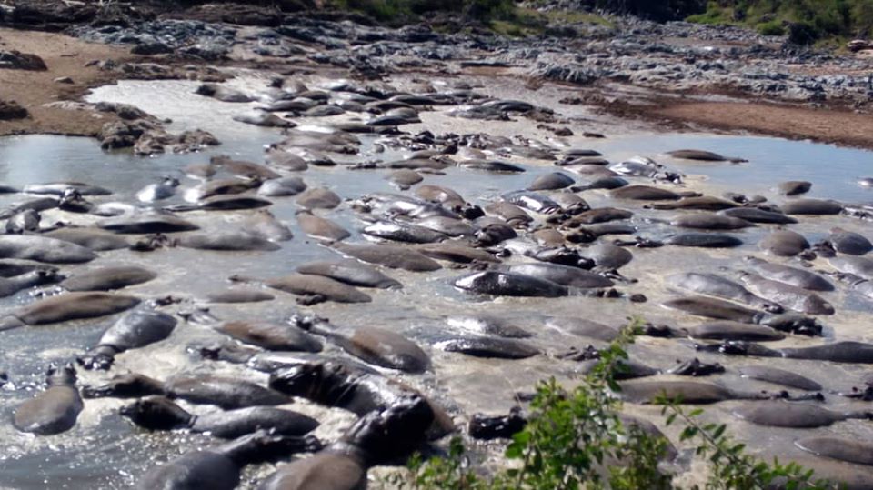 4 Days Tanzania Classic Safari