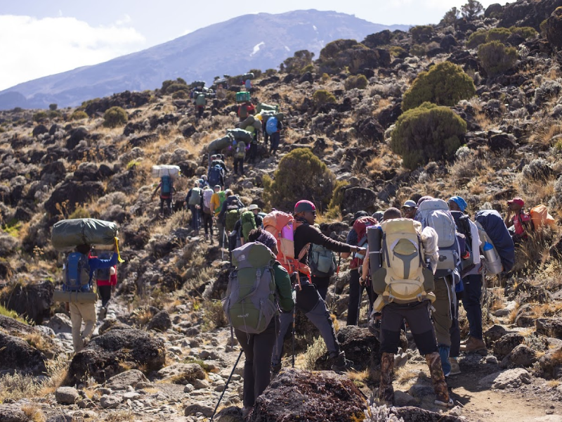 8 days Kilimanjaro Climb – Lemosho Route  From US$2,450/Person