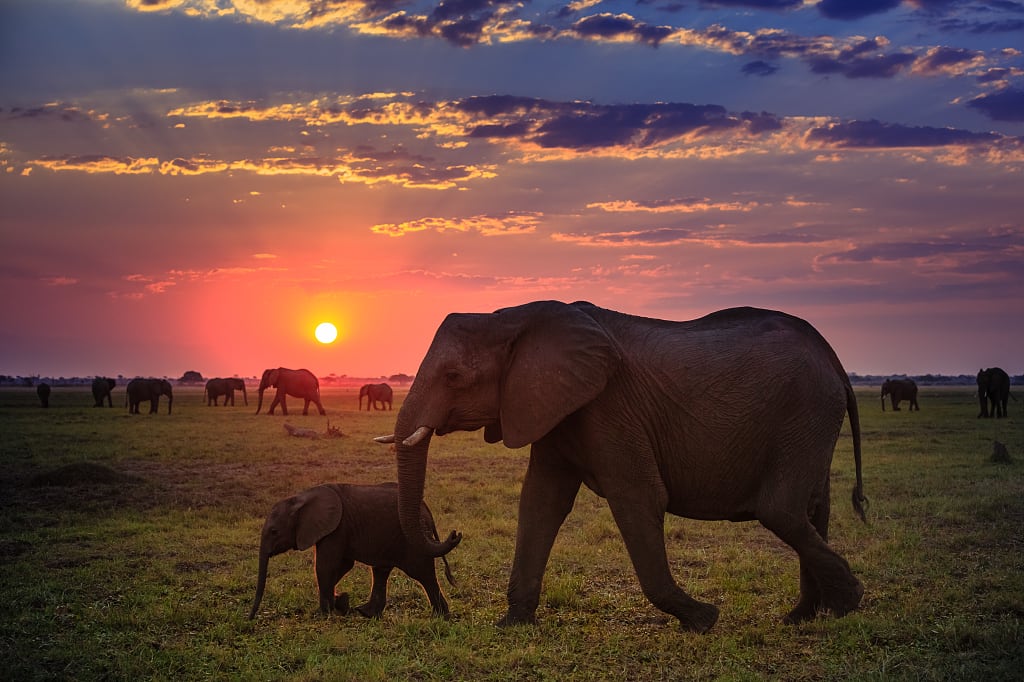7 DAYS IN-DEPTH TANZANIA SAFARI