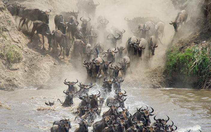 6 Days Tanzania Wildebeest Migration Safari Experience