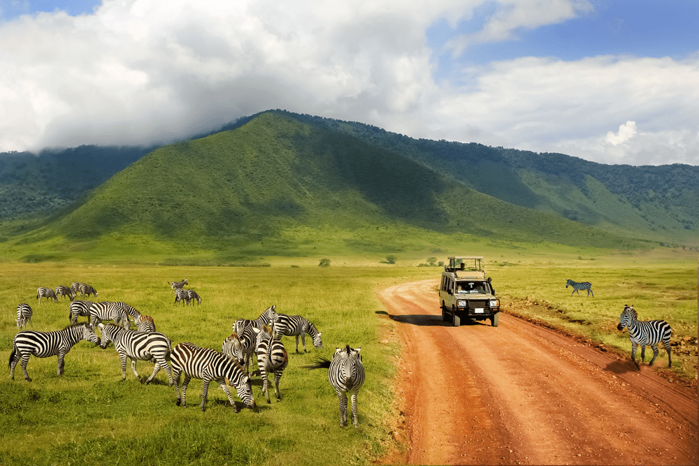 7 DAY TANZANIA ADVENTURE