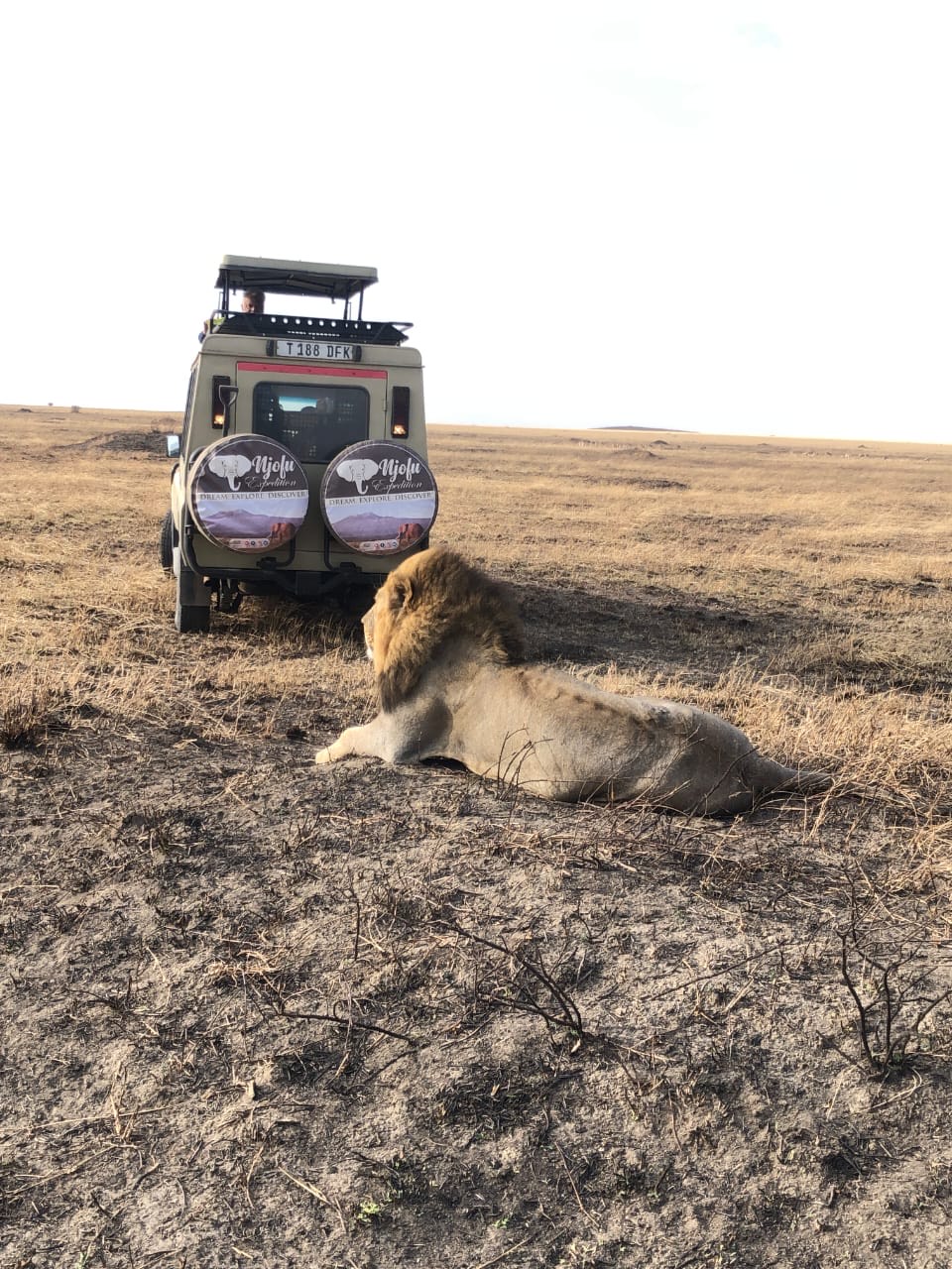 2 Days Tarangire and Ngorongoro Safari