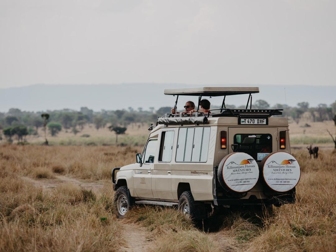 3 Days Unforgettable Serengeti Mid-Range Lodge Safari  > Price on Request