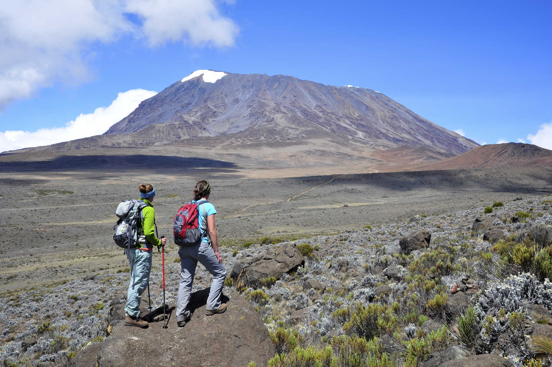 7 Days - Ultimate Kilimanjaro Trek Tour