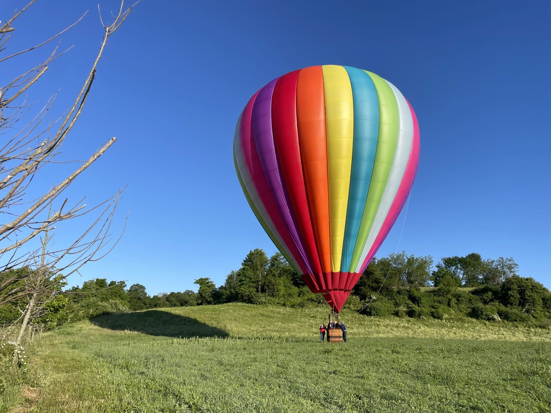 11 Days Primates And Big 5 Safari