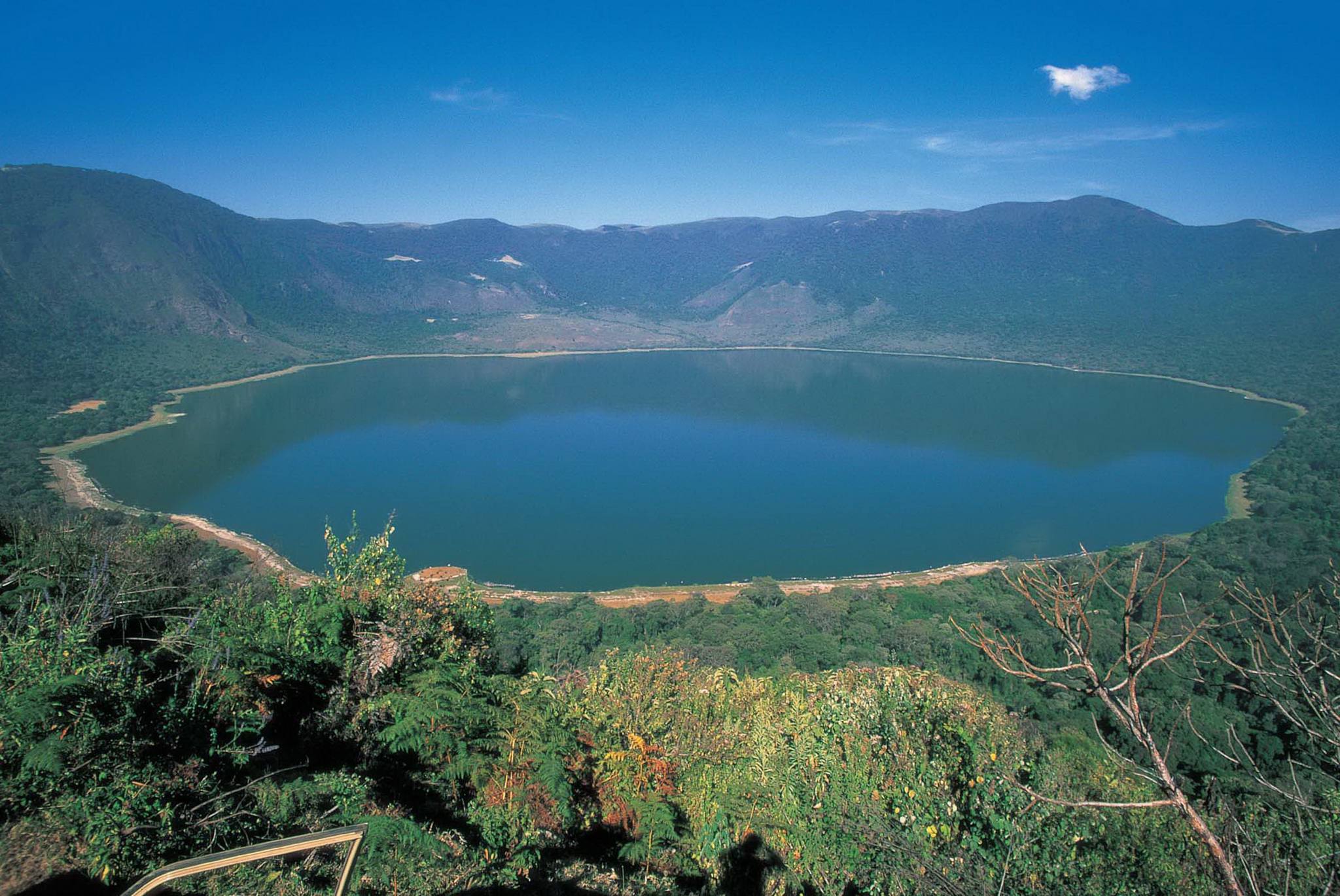5 DAYS 4 NIGHT WILDLIFE SAFARIS
